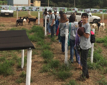 Estande IZ - 20 alunos do Projeto Jovem Agricultor do Futuro da Faesp/Senar ficaram surpresos e muito interessados em conhecer o sistema de produo de ovinos do IZ na Agrishow 2017 - foto Lisley Silvrio