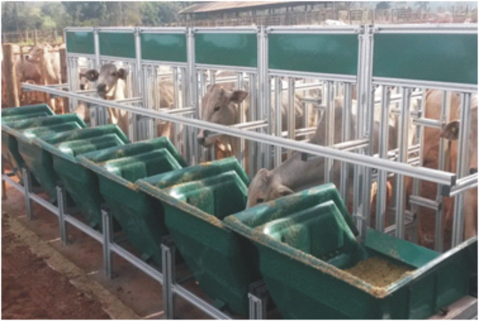 Sistema InterGado IZ