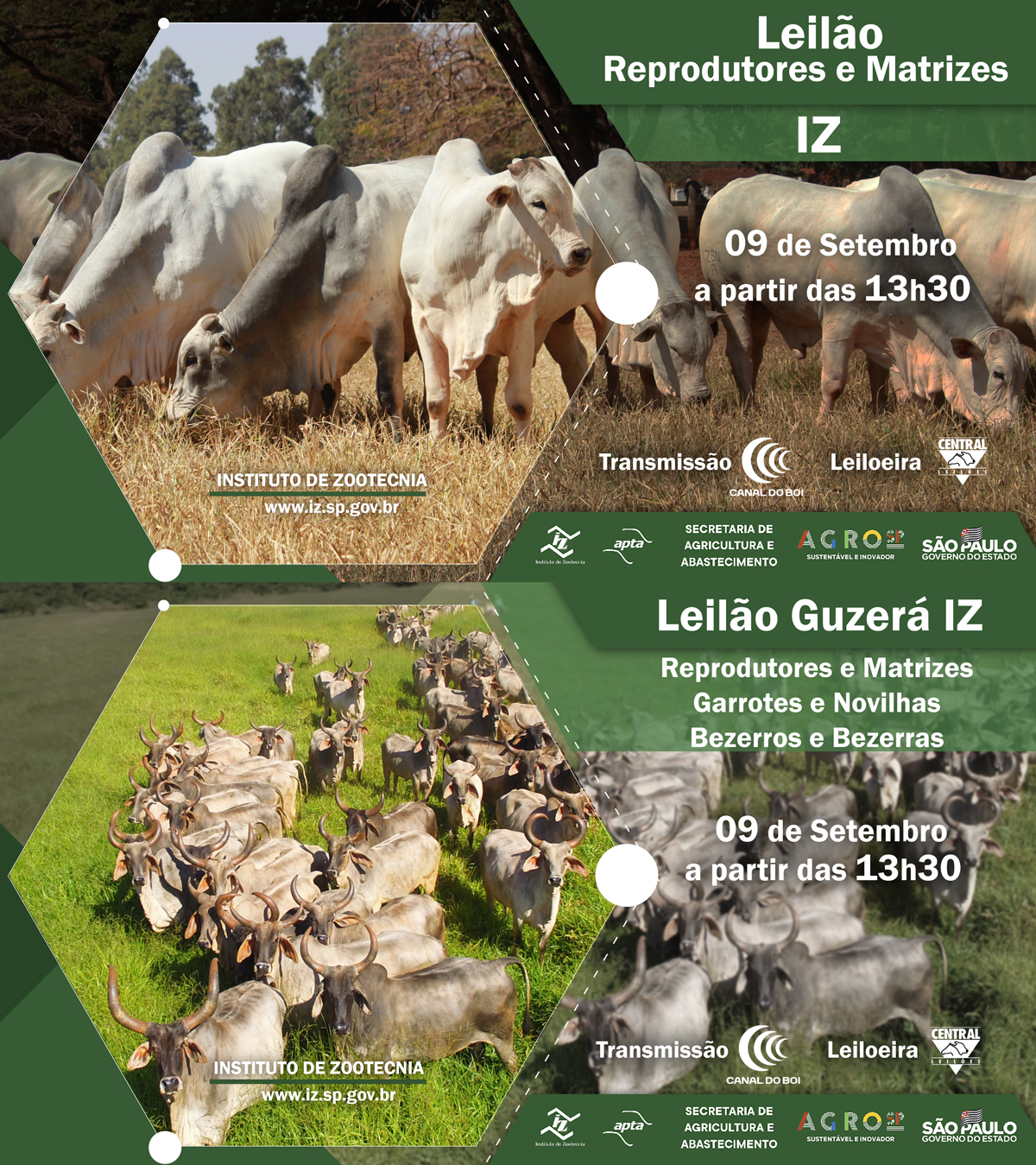 Leilao_IZ_09092021_314x177_Central-leiloes.jpg