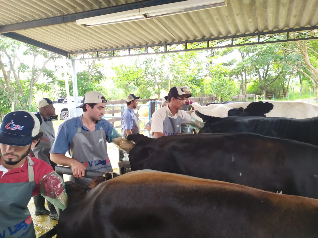 curso-IA-27a30jan2020_IZ-CRVLagoa