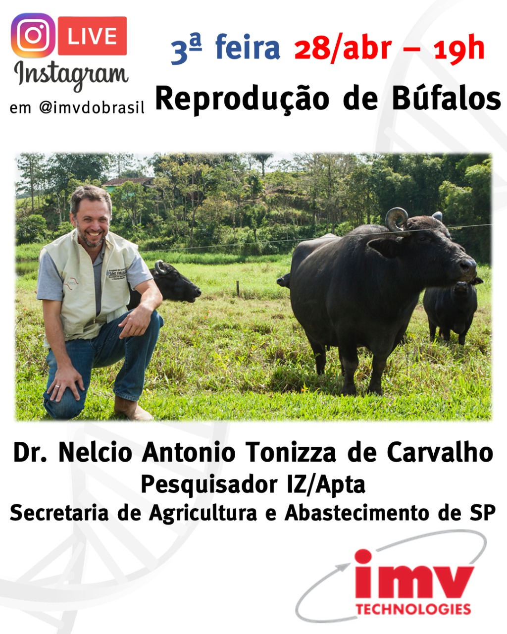 Grandes-nomes_da_reproducao_bubalinos_IZ_Nelcio_Live_Instagram_IMV_Technologies_Brasil_29042020